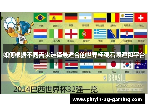 如何根据不同需求选择最适合的世界杯观看频道和平台