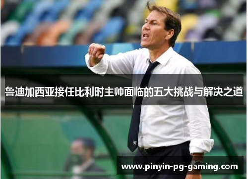 鲁迪加西亚接任比利时主帅面临的五大挑战与解决之道