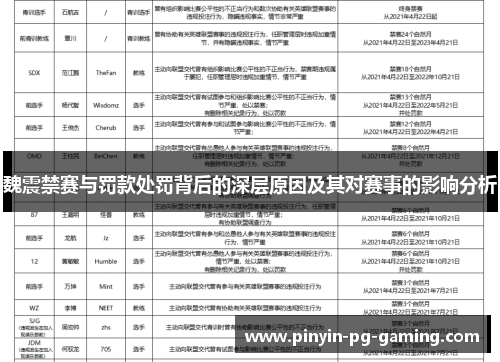 魏震禁赛与罚款处罚背后的深层原因及其对赛事的影响分析