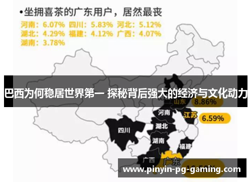 巴西为何稳居世界第一 探秘背后强大的经济与文化动力