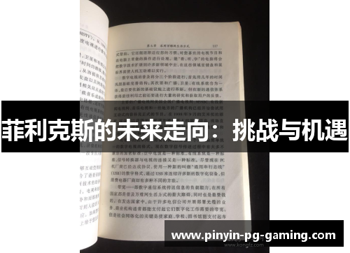 菲利克斯的未来走向：挑战与机遇