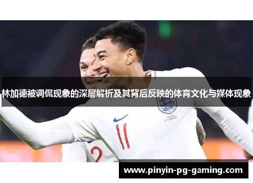 林加德被调侃现象的深层解析及其背后反映的体育文化与媒体现象