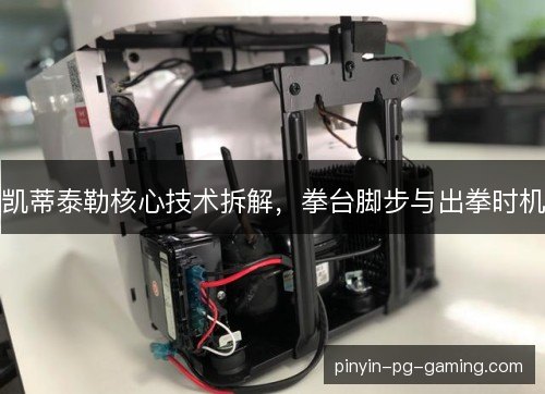 凯蒂泰勒核心技术拆解，拳台脚步与出拳时机